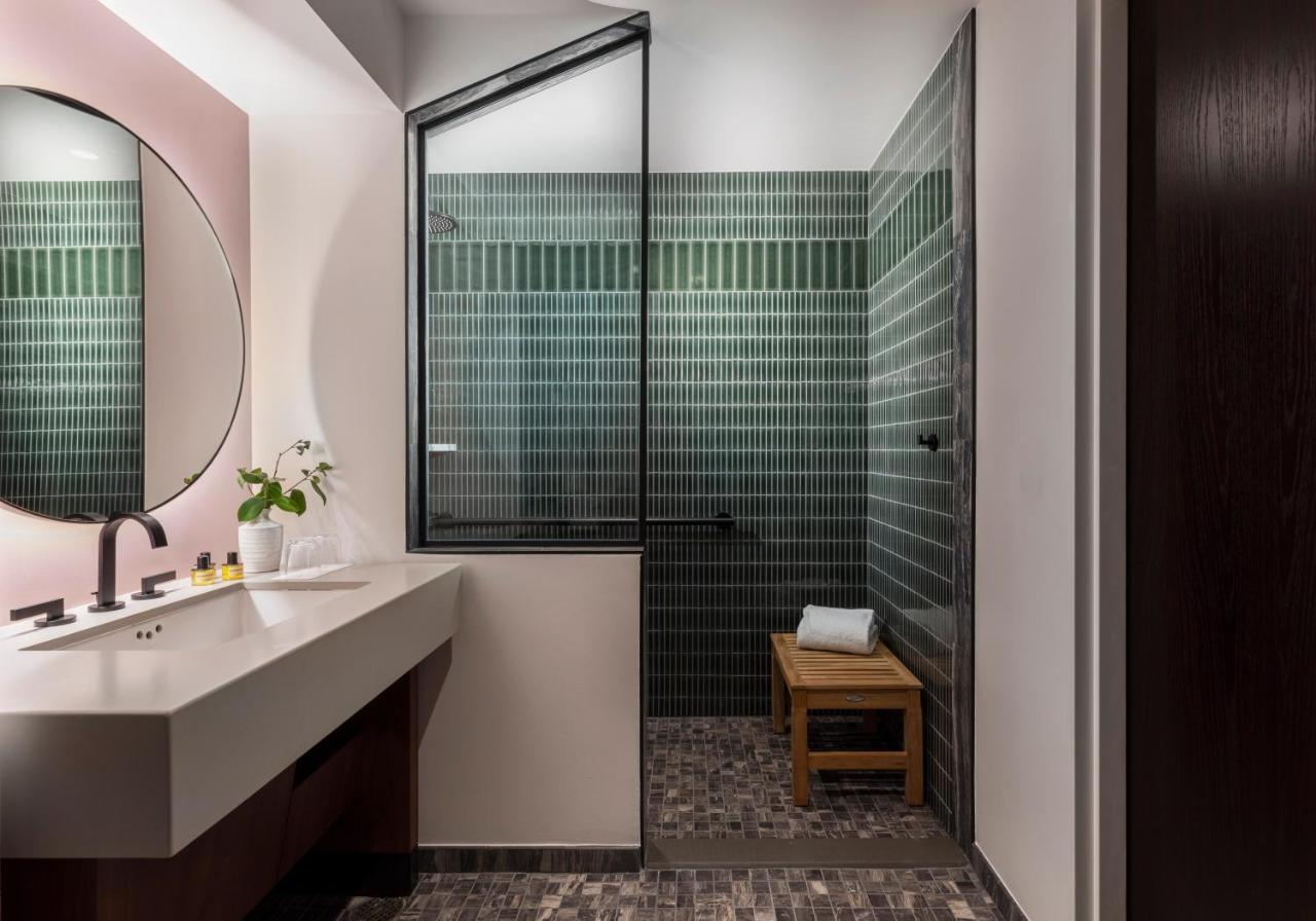 King Room Accessible Shower Grab Bar