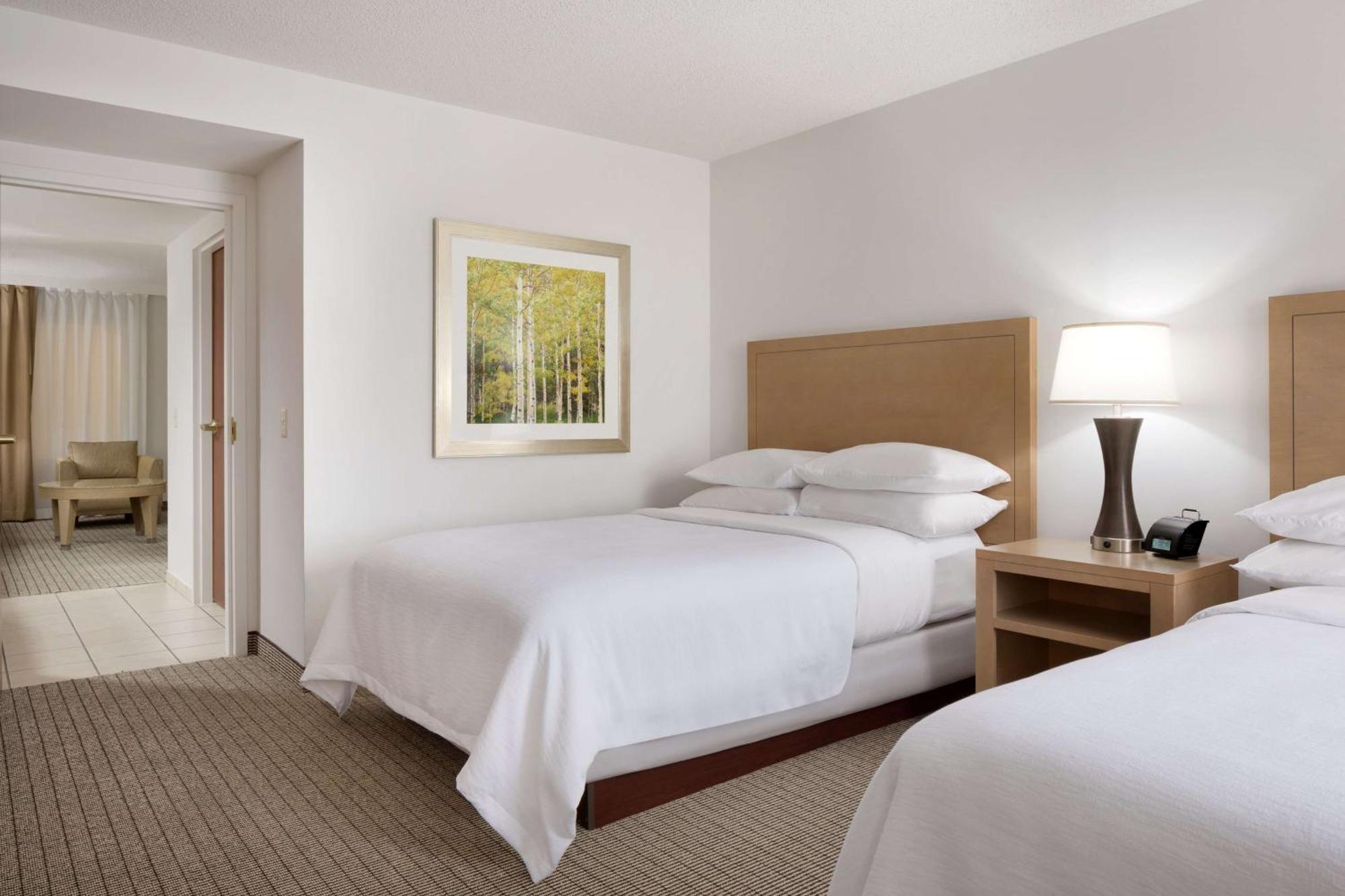 Premium Suite