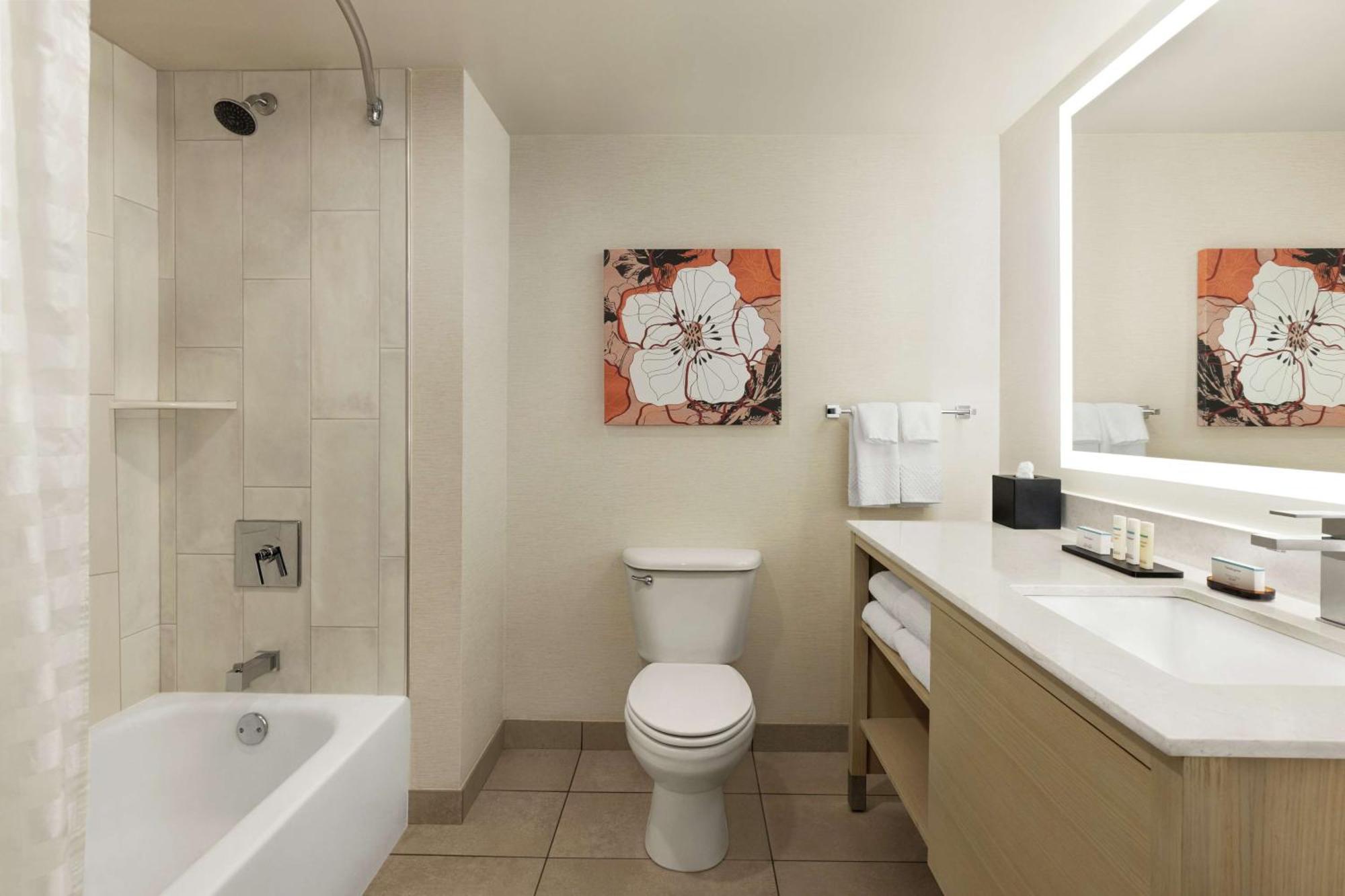 Two-Room King Suite Non-Smoking