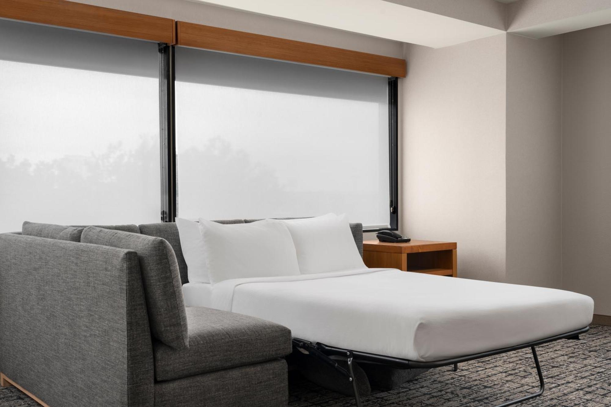 King Room Sofa Bed Mountain View